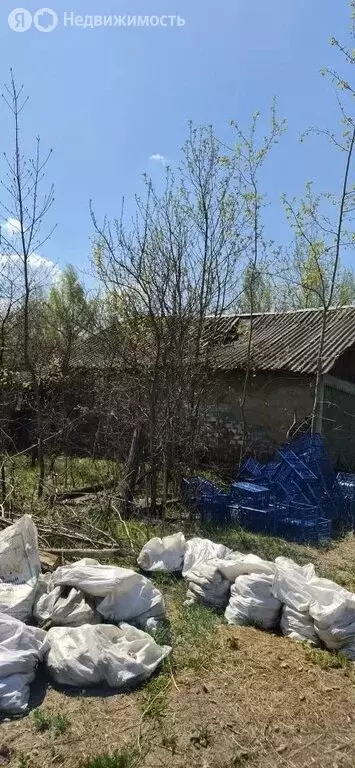 Дом в Липки, Липки, Проезжая улица, 3 (41.3 м) - Фото 1