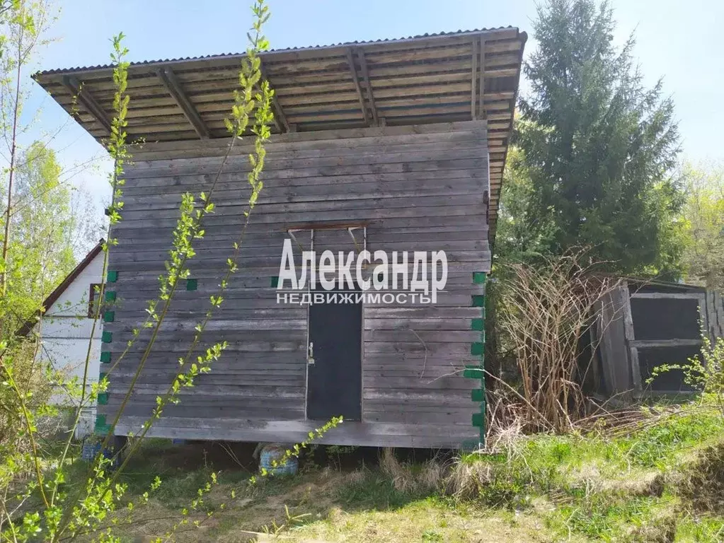 Участок в Ленинградская область, Приозерский район, Сосновское с/пос, ... - Фото 2