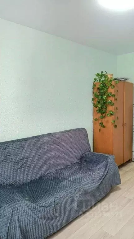 Комната Курганская область, Курган просп. Конституции, 79 (13.0 м) - Фото 2
