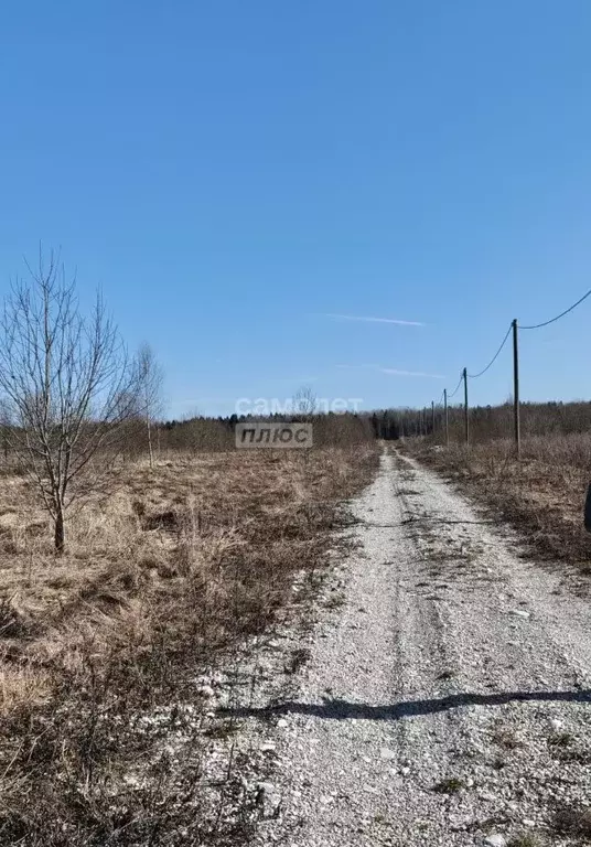 Участок в Ленинградская область, Тосненский район, Любанское городское ... - Фото 2