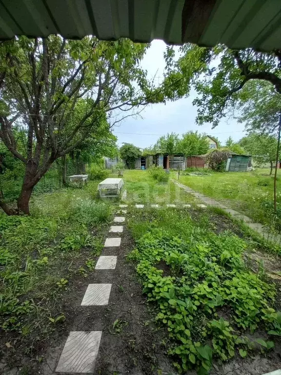 Участок 6,4 сот. (СНТ, ДНП) - Фото 0
