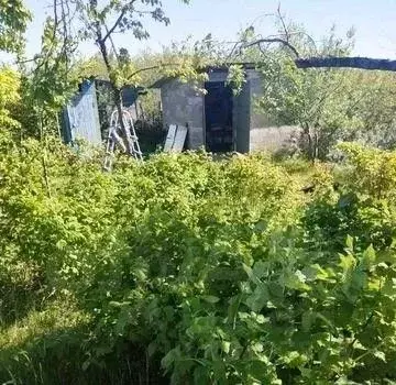 Дом в Самарская область, Красноярский район, Новосемейкино городское ... - Фото 0