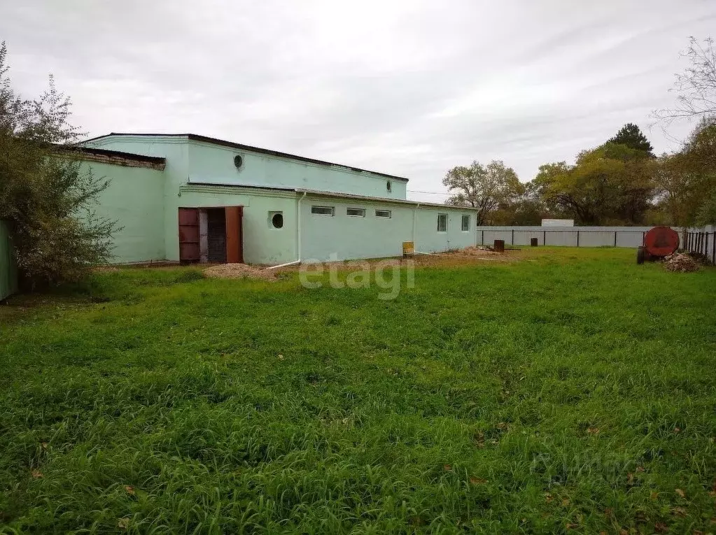 Офис в Амурская область, с. Константиновка ул. Кирпичная (412 м) - Фото 1