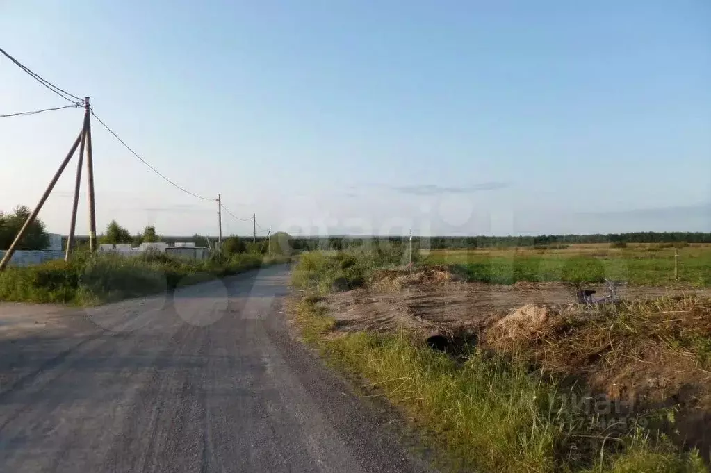 Участок в Вологодская область, Череповецкий район, д. Ирдоматка  (18.0 ... - Фото 1