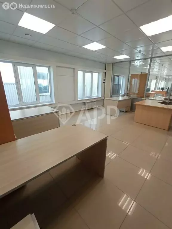 Офис (38.3 м) - Фото 2