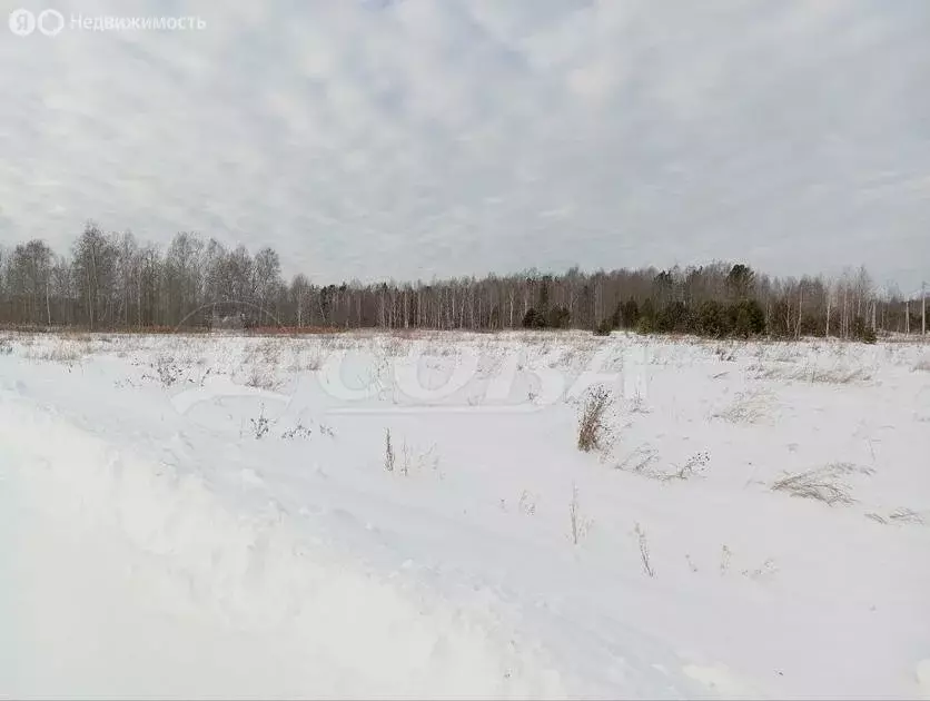 Участок в Нижнетавдинский район, село Андрюшино (18 м) - Фото 0