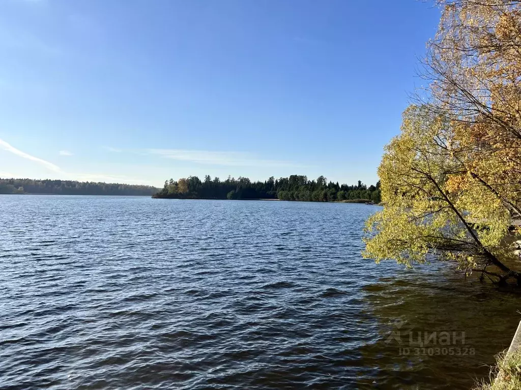 Участок в Московская область, Мытищи городской округ, д. Юрьево  (7.0 ... - Фото 1