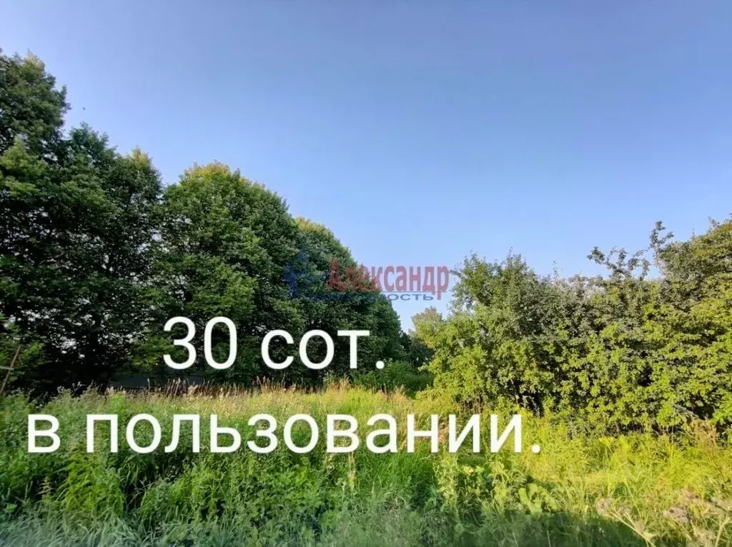 Участок в Ленинградская область, Ломоносовский район, Горбунковское ... - Фото 0