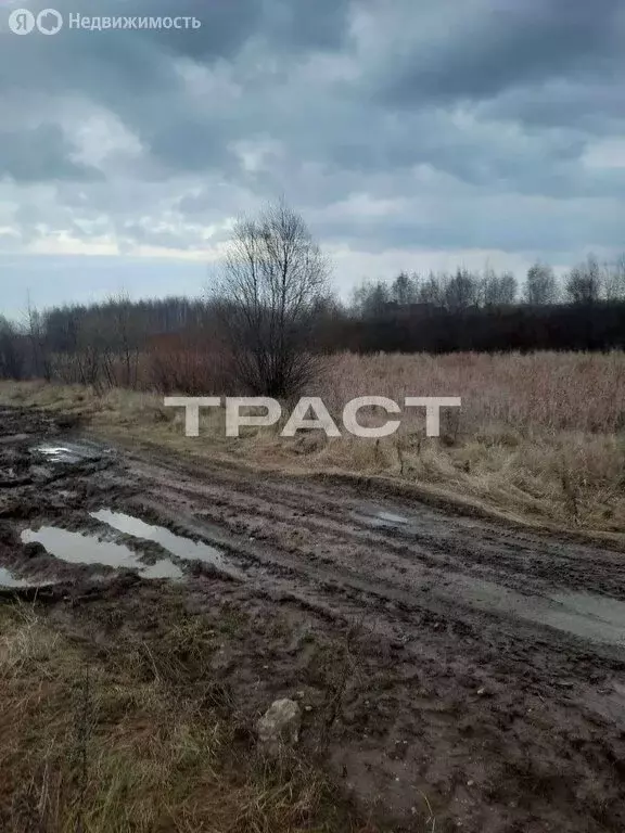 Участок в Воронежская область, село Новая Усмань (765 м) - Фото 1