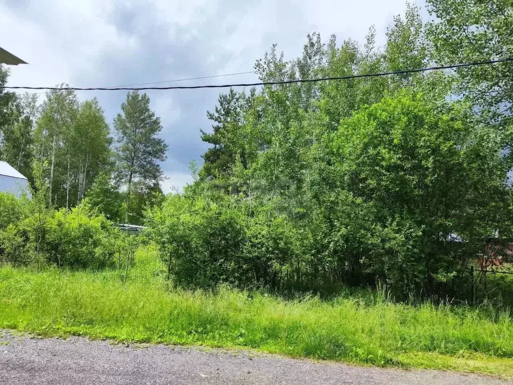 Участок в Московская область, Щелково городской округ, Комета СПК ул. ... - Фото 1