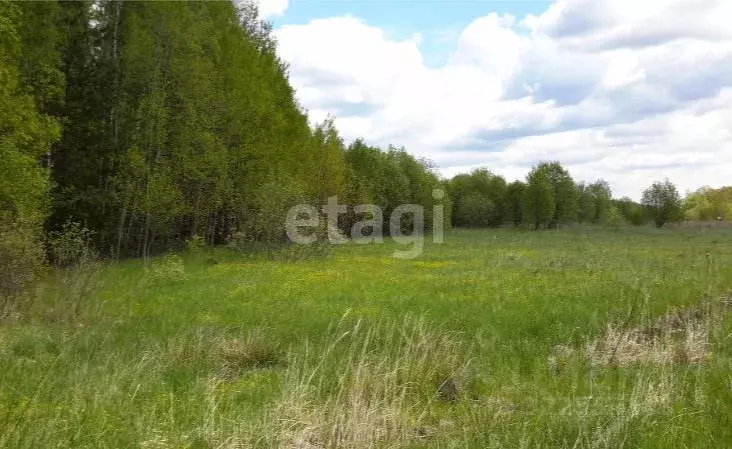 Участок в Владимирская область, Петушинский муниципальный округ, д. ... - Фото 1