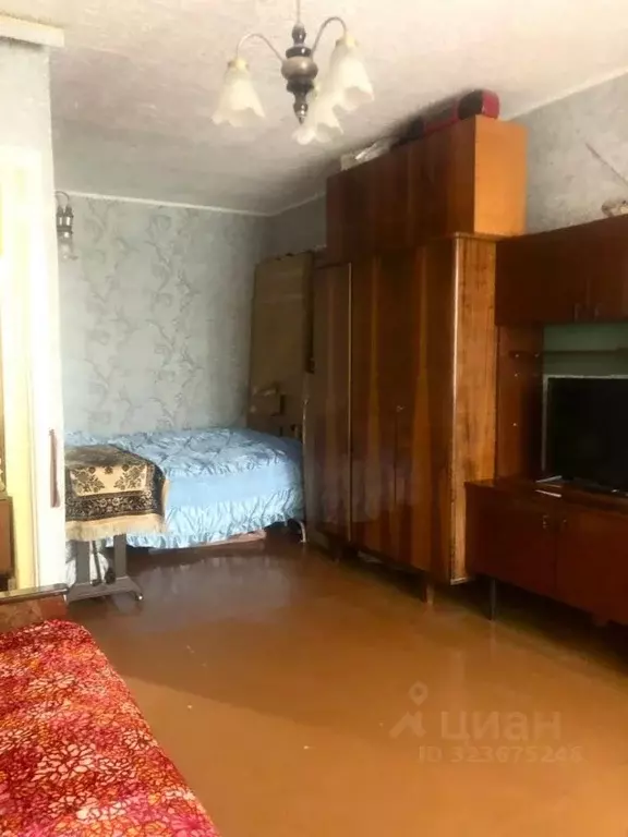 1-к кв. Хабаровский край, Хабаровск ул. Профессора М.П. Даниловского, ... - Фото 2