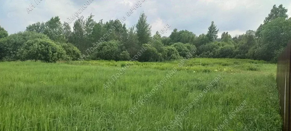 Участок в Московская область, Можайский городской округ, д. Павлищево ... - Фото 1