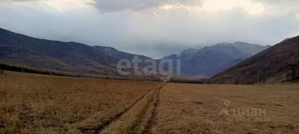 Участок в Алтай, Усть-Канский район, с. Владимировка  (2950.0 сот.) - Фото 1