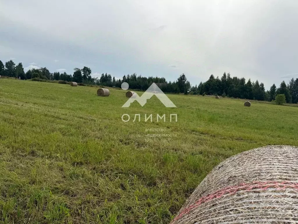 Участок в Вологодская область, д. Андрюшино  (50.0 сот.) - Фото 0