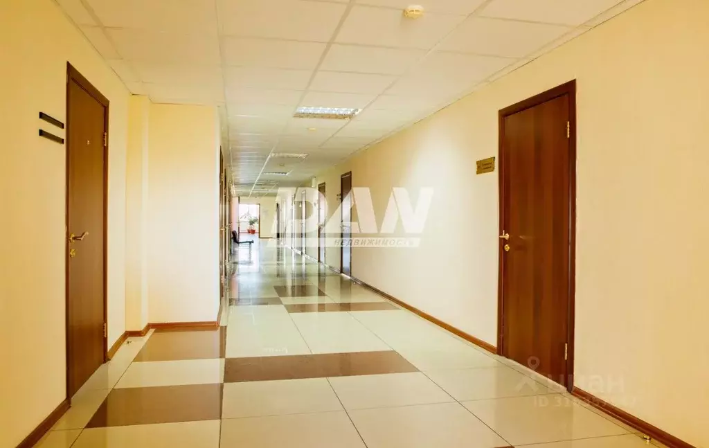 Офис в Челябинская область, Челябинск просп. Ленина, 2К (18 м) - Фото 2