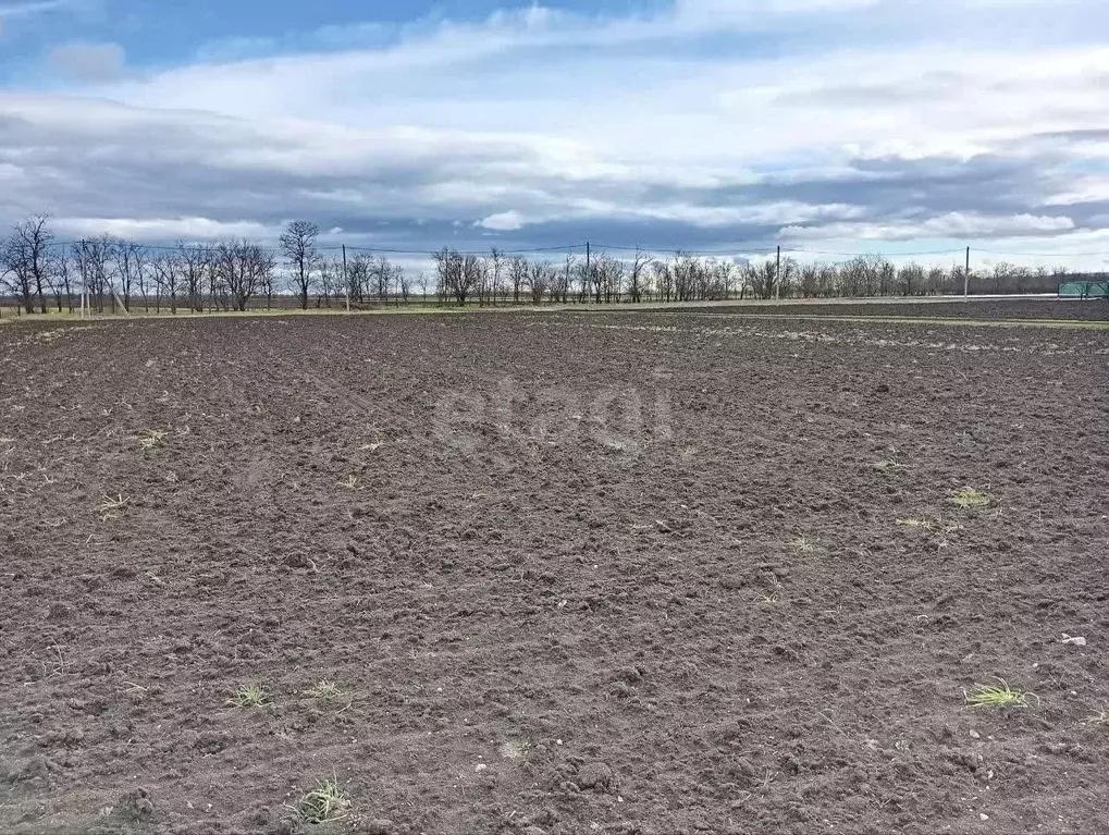 Участок в Крым, Советский район, Пушкинское с/пос, с. Маковка ул. ... - Фото 1