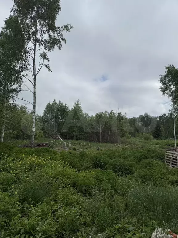 Участок 10 сот. (СНТ, ДНП) - Фото 0