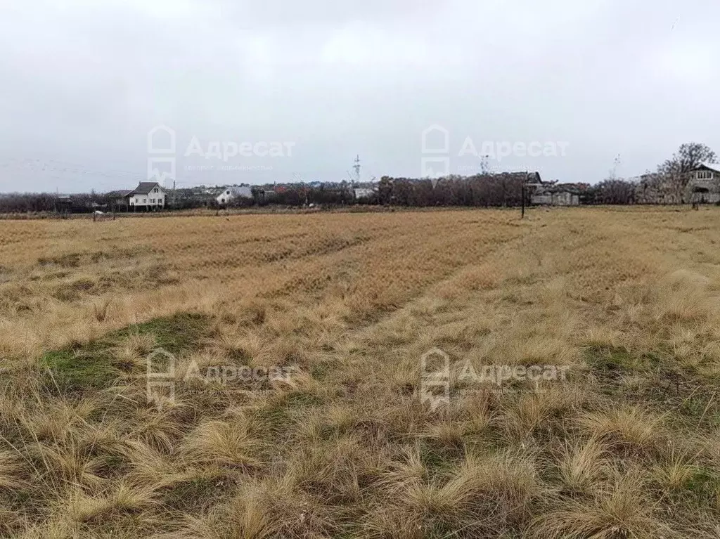 Участок в Волгоградская область, Городищенский район, Царицынское ... - Фото 1