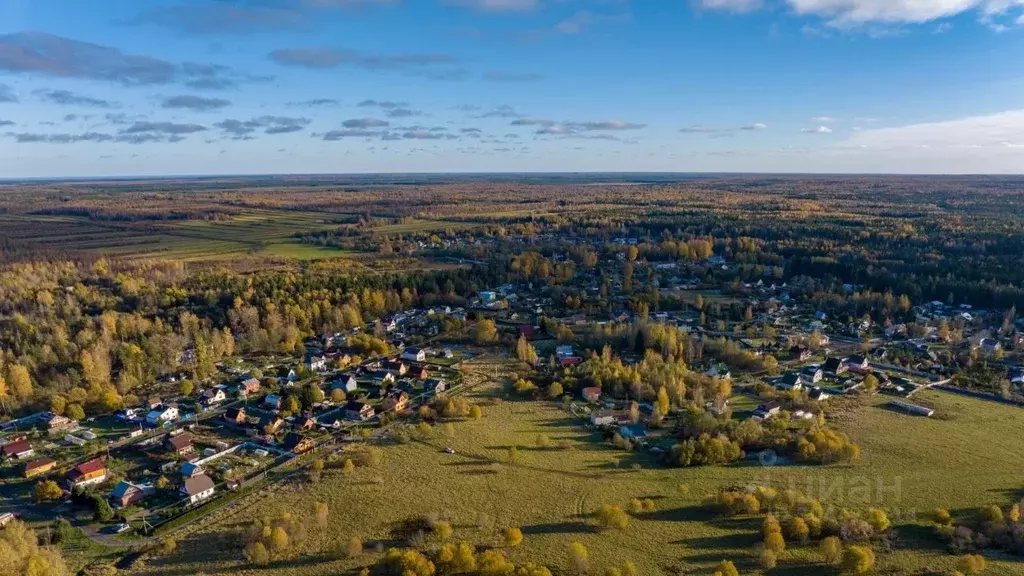 Участок в Ленинградская область, Всеволожский район, Куйвозовское ... - Фото 1