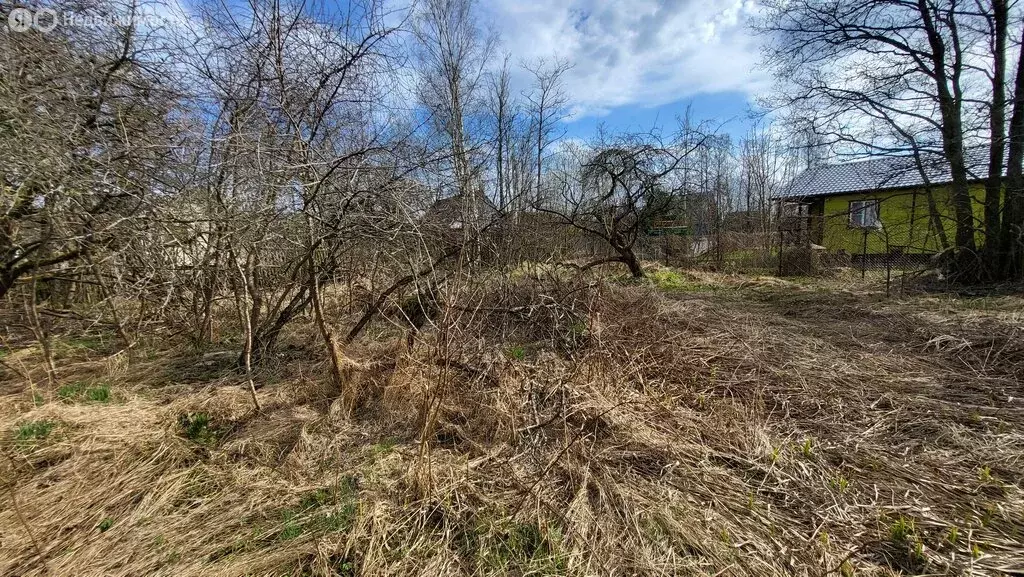 Участок в Кировский район, Синявинское городское поселение, ... - Фото 1