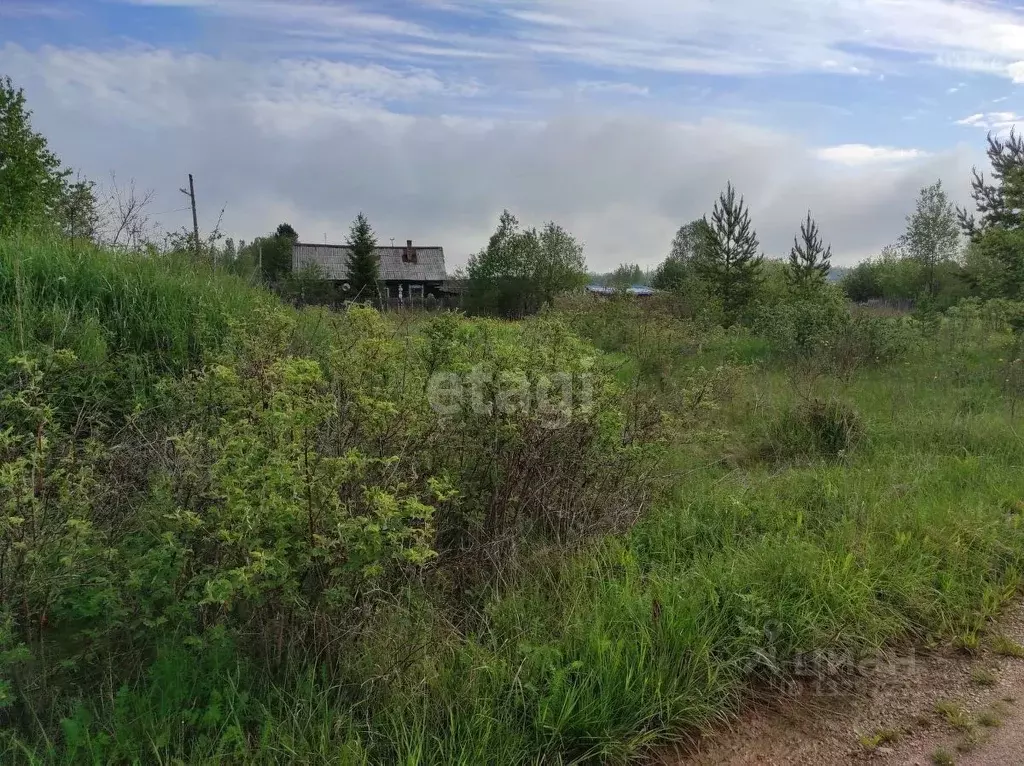 Участок в Свердловская область, Красноуральск  (19.6 сот.) - Фото 0