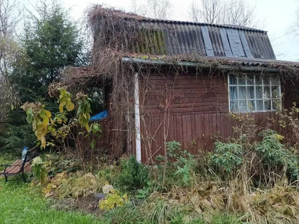 Участок в Калужская область, Обнинск  (12.0 сот.) - Фото 2