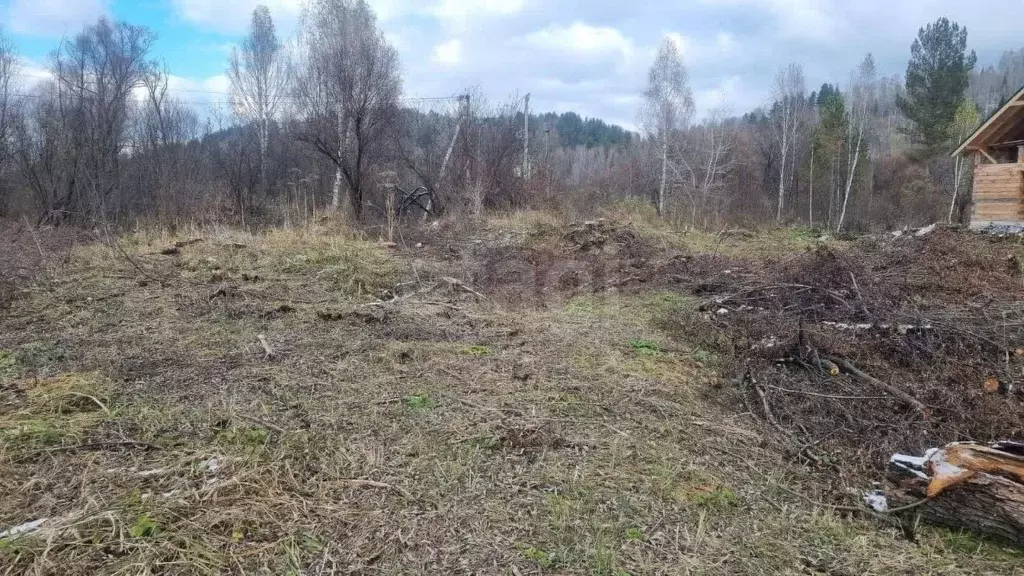 Участок в Алтай, Майминский район, Поселок филиал ул. Родниковая (12.0 ... - Фото 1