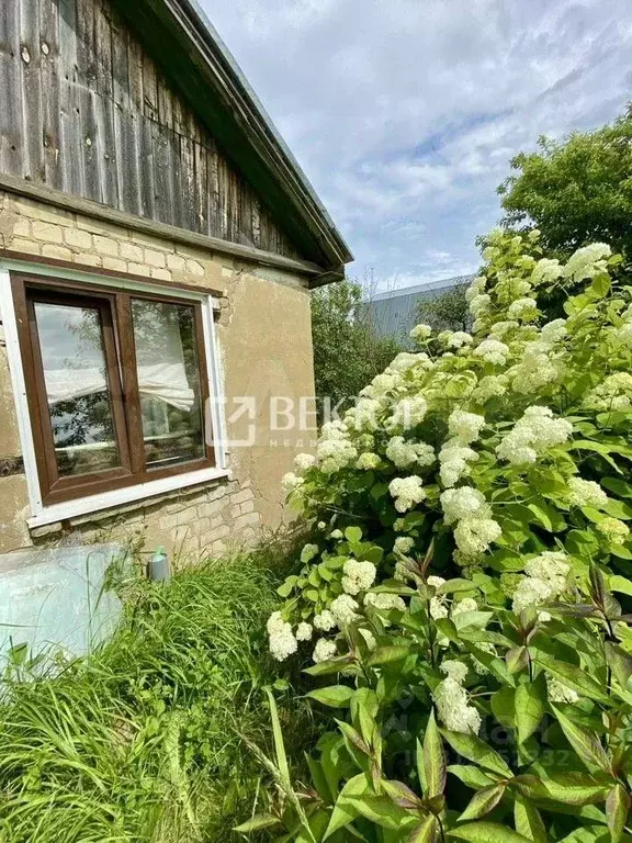 Участок в Костромская область, Кострома Рассвет СТ, 17Б (5.5 сот.) - Фото 0