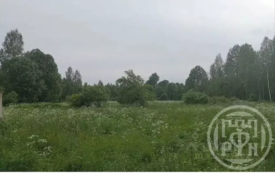 Участок в Псковская область, Плюсский муниципальный округ, д. Вяжище-1 ... - Фото 2