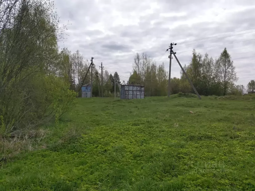 Участок в Тверская область, Осташковский городской округ, д. Сорога  ... - Фото 1