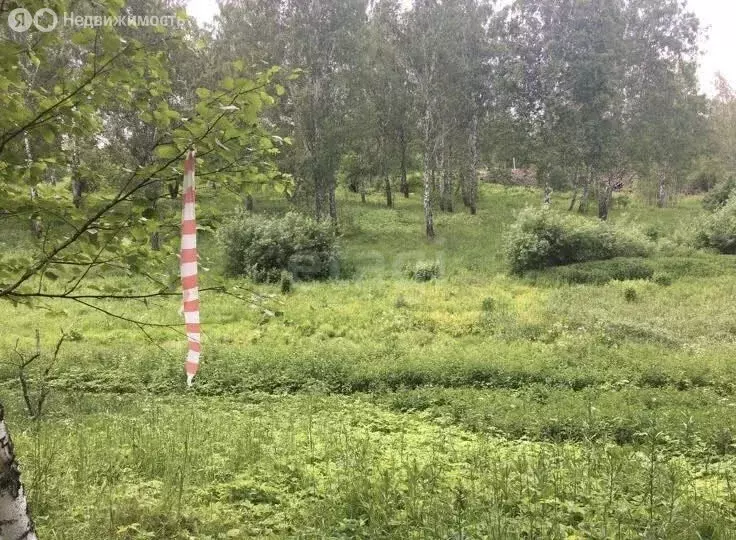 Участок в Каменский сельсовет, эко-посёлок Скандинавия, микрорайон ... - Фото 2