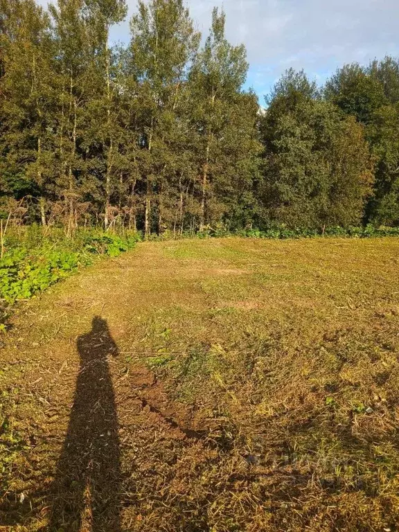 Участок в Московская область, Клин городской округ, д. Соголево  (12.0 ... - Фото 1