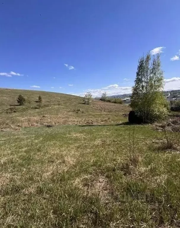 Участок в Красноярский край, Красноярск городской округ, Березовка ... - Фото 2