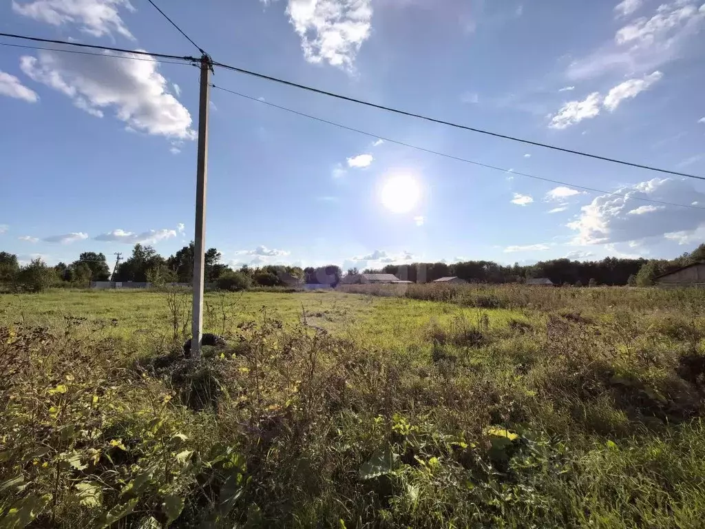 Участок в Тюменская область, Тюменский муниципальный округ, с. ... - Фото 2
