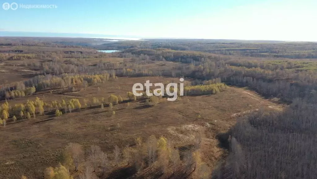 Участок в Мошковский район, село Сокур (10.6 м) - Фото 2