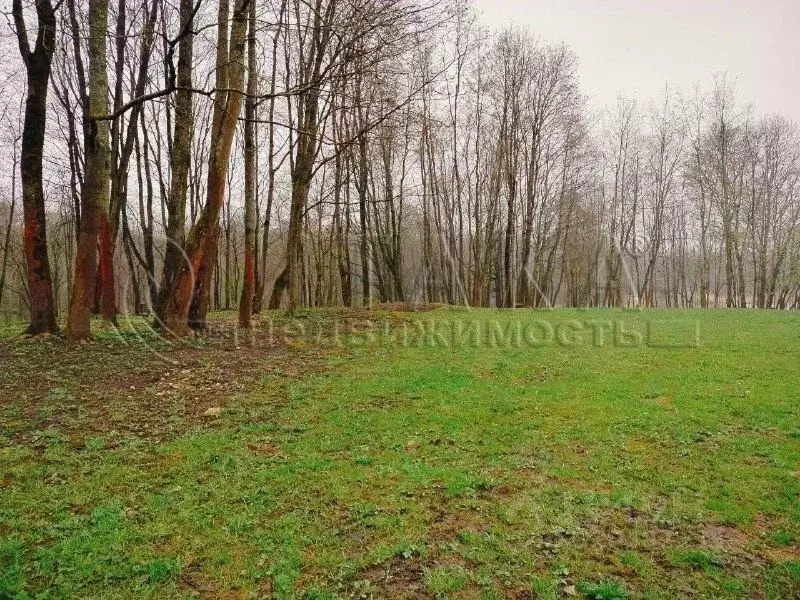 Участок в Ленинградская область, Гатчинский муниципальный округ, Дача ... - Фото 2