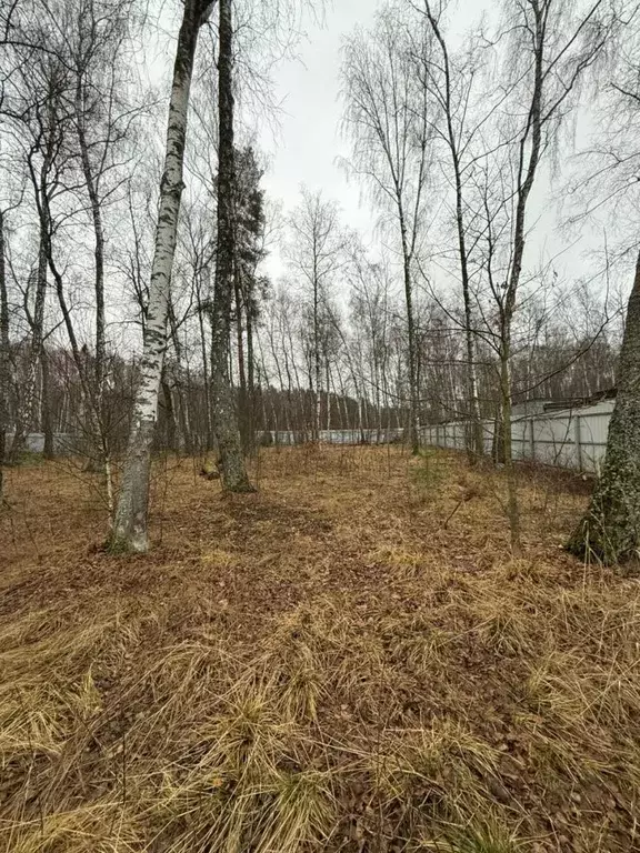 Продается участок в ДНТ Дубки Плюс - Фото 0