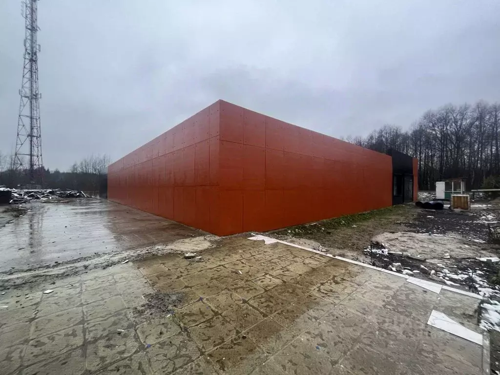 Торговая площадь в Московская область, Воскресенский район, ... - Фото 2