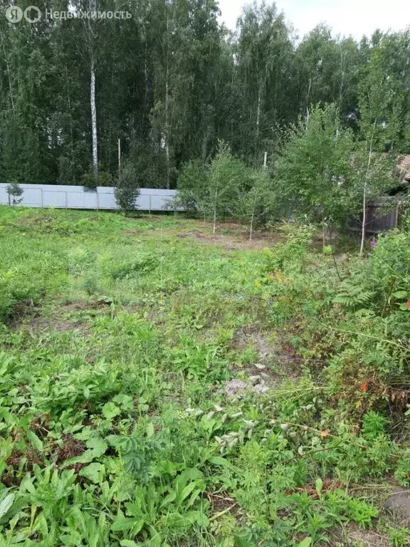 Участок в Тюмень, садовое товарищество Сигнал, Автобазовская улица, 20 ... - Фото 1