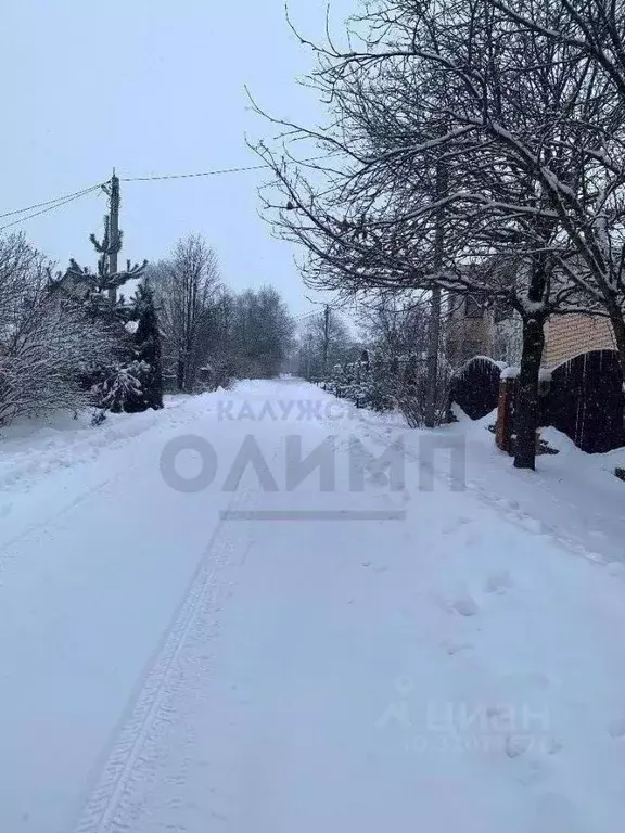 Участок в Калужская область, Перемышльский район, Горки с/пос, д. ... - Фото 2