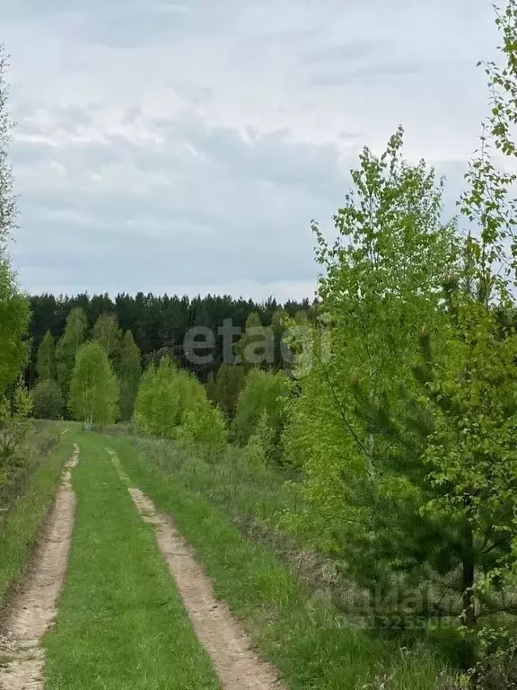 Участок в Кемеровская область, Кемеровский муниципальный округ, д. ... - Фото 0