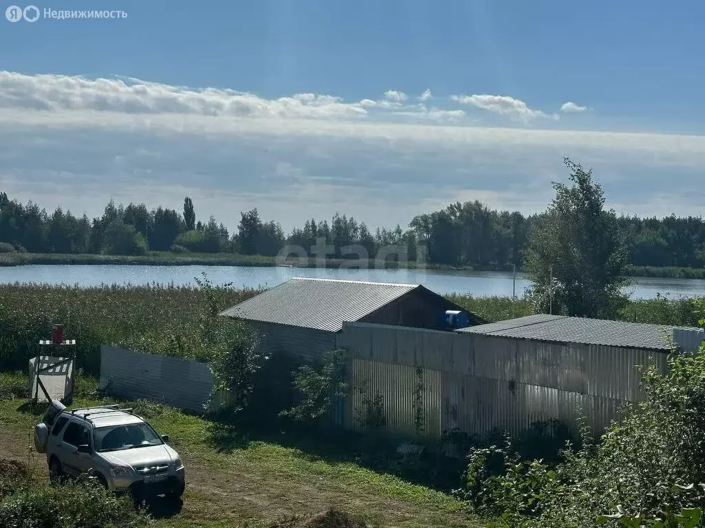 Участок в Стрелицкое городское поселение, СНТ Жемчужина, Западная ... - Фото 0
