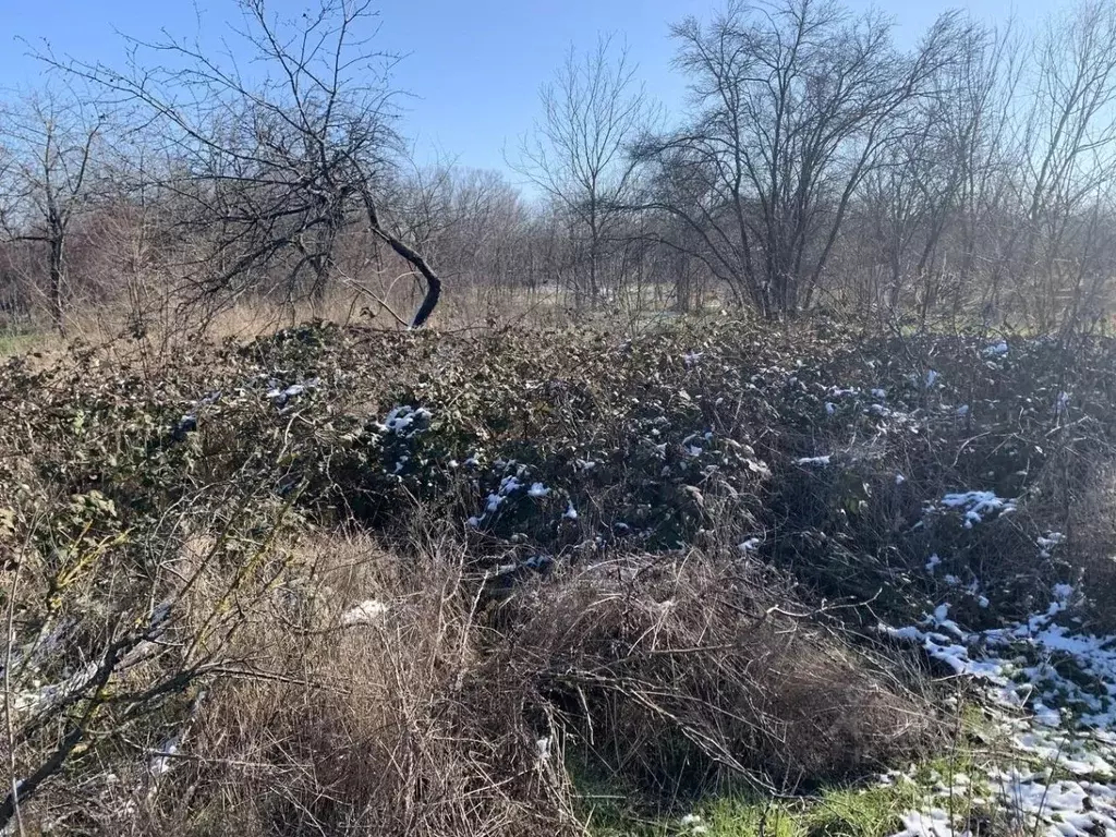 Участок в Краснодарский край, Анапа муниципальный округ, Гостагаевская ... - Фото 1