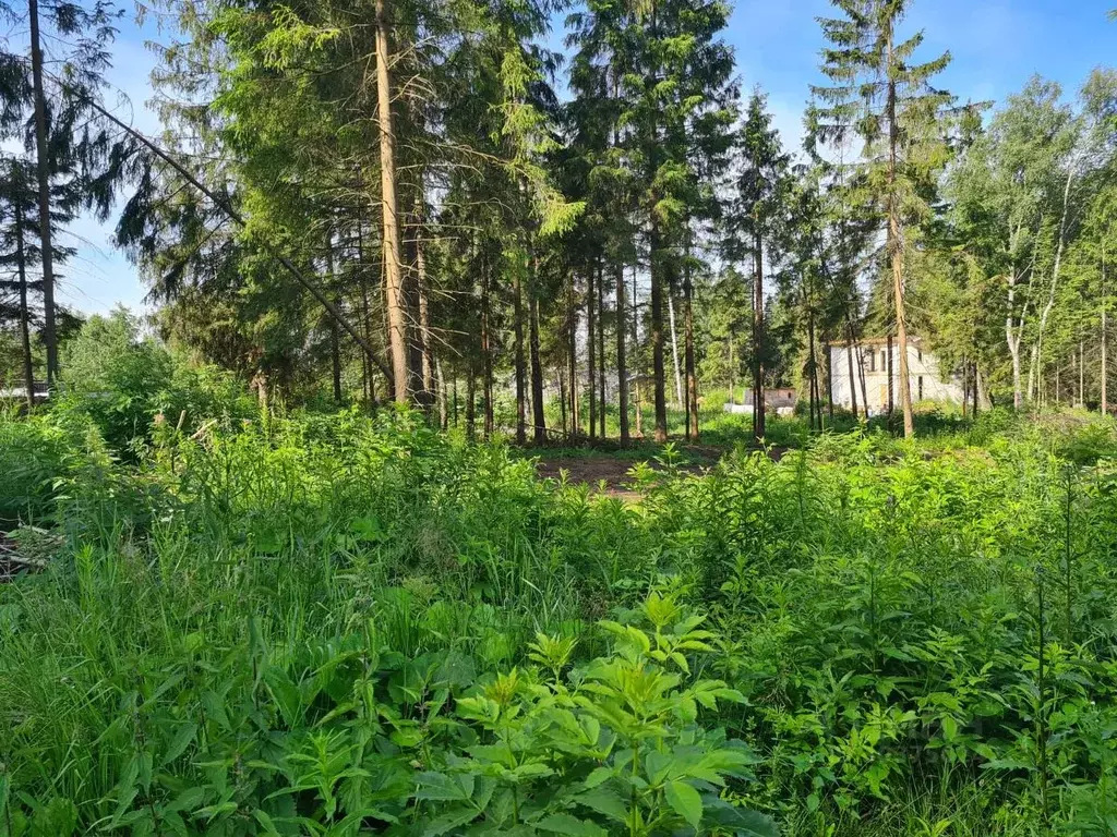 Участок в Московская область, Солнечногорск городской округ, ... - Фото 0