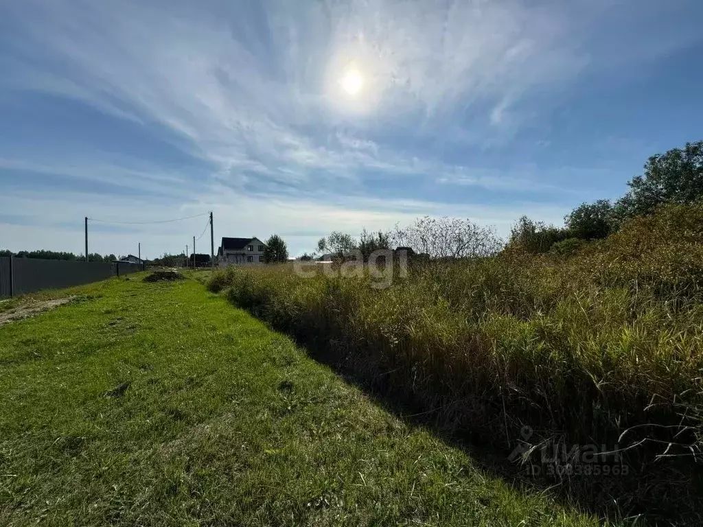 Участок в Новгородская область, Новгородский район, Трубичинское ... - Фото 1