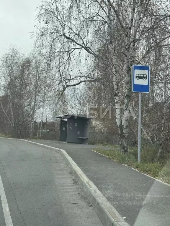 Участок в Тюменская область, Тюмень Автомобилист СНТ, ул. Рощинская ... - Фото 2