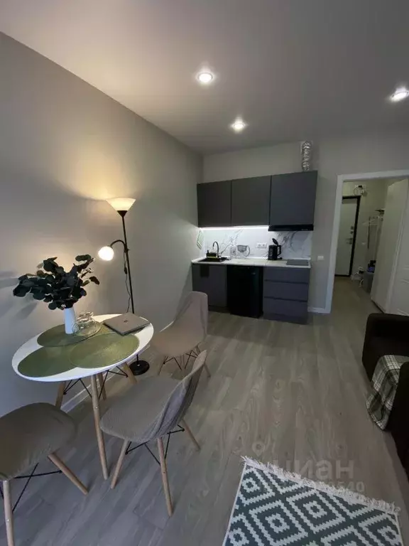 Студия Краснодарский край, Сочи ул. Искры, 88 (27.8 м) - Фото 1