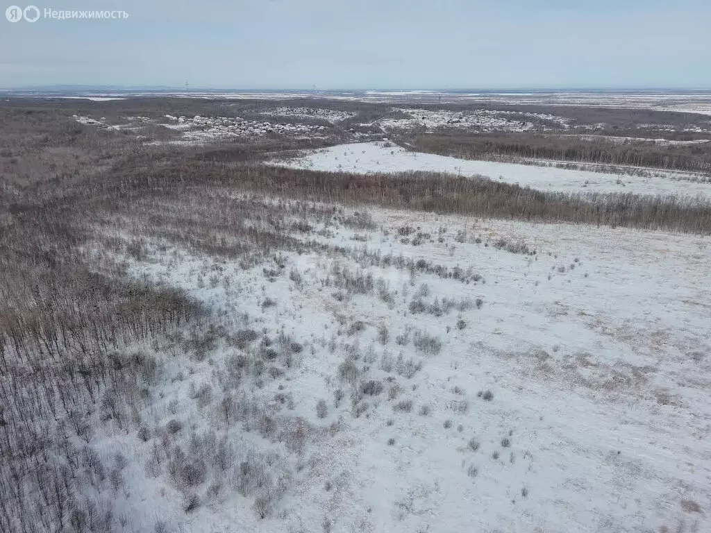 Участок в Хабаровский район, Осиновореченское сельское поселение, село ... - Фото 1