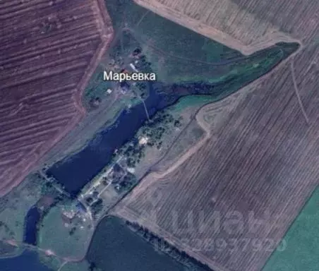 Участок в Воронежская область, Верхнехавский район, Александровское ... - Фото 1